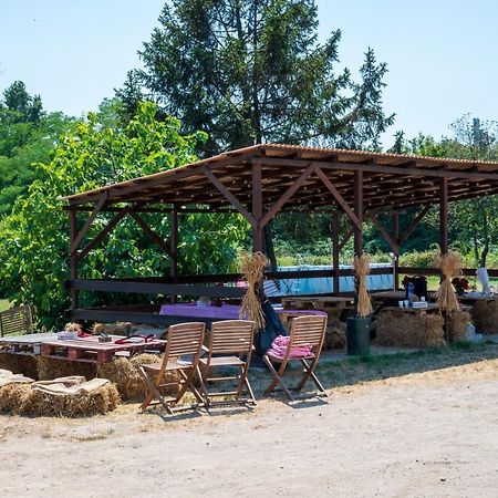 Marano Ticino Agriturismo Why Farm 빌라 외부 사진